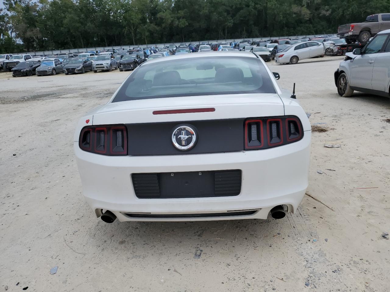 2013 Ford Mustang VIN: 1ZVBP8AM4D5241716 Lot: 72033775
