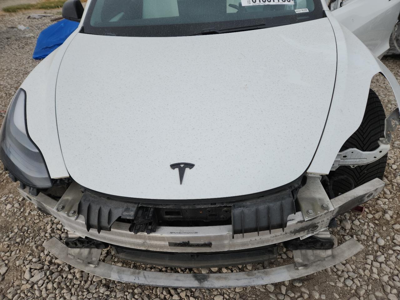 2021 Tesla Model 3 VIN: 5YJ3E1EB6MF038001 Lot: 81037735