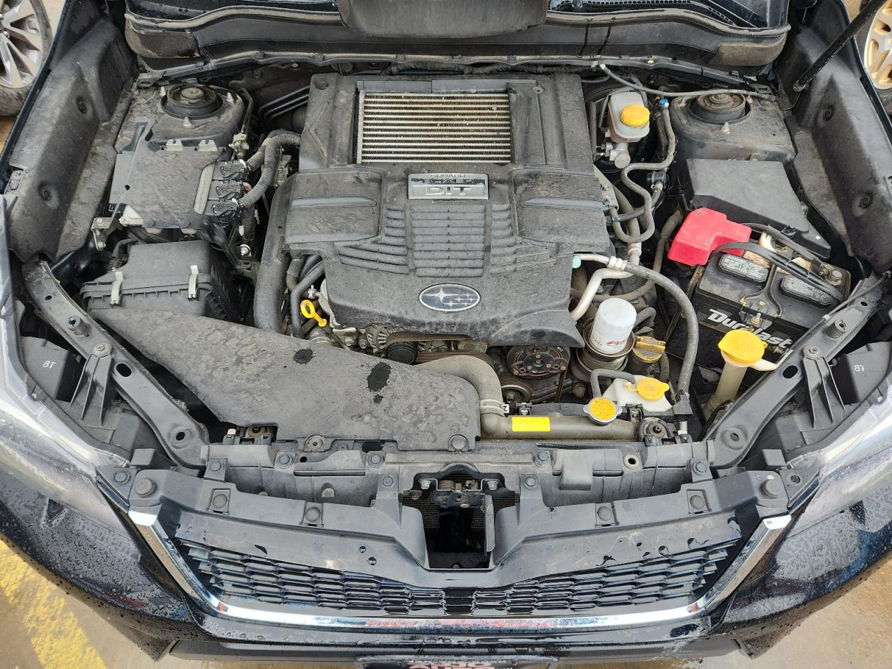 2016 Subaru Forester 2.0Xt Premium VIN: JF2SJGDC7GH461213 Lot: 84008405