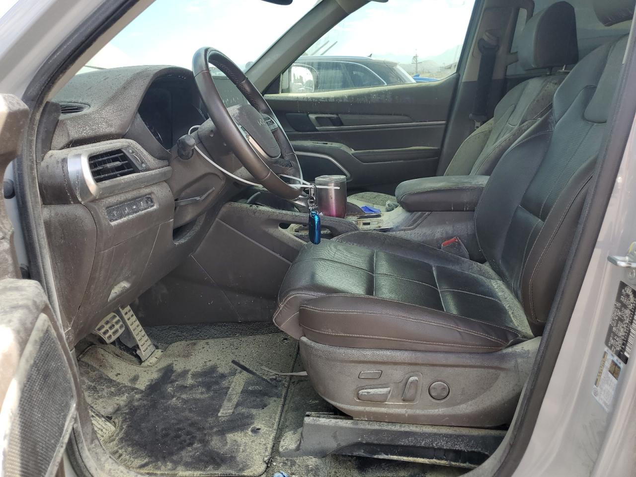 2022 Kia Telluride Sx VIN: 5XYP5DHC7NG237883 Lot: 80575275