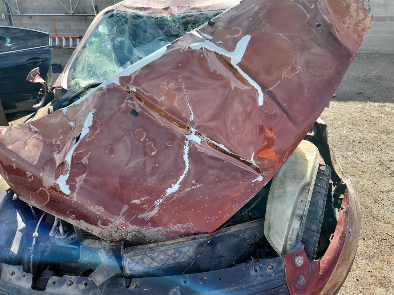 2016 Ford Escape Se VIN: 1FMCU0G99GUB40309 Lot: 81066805