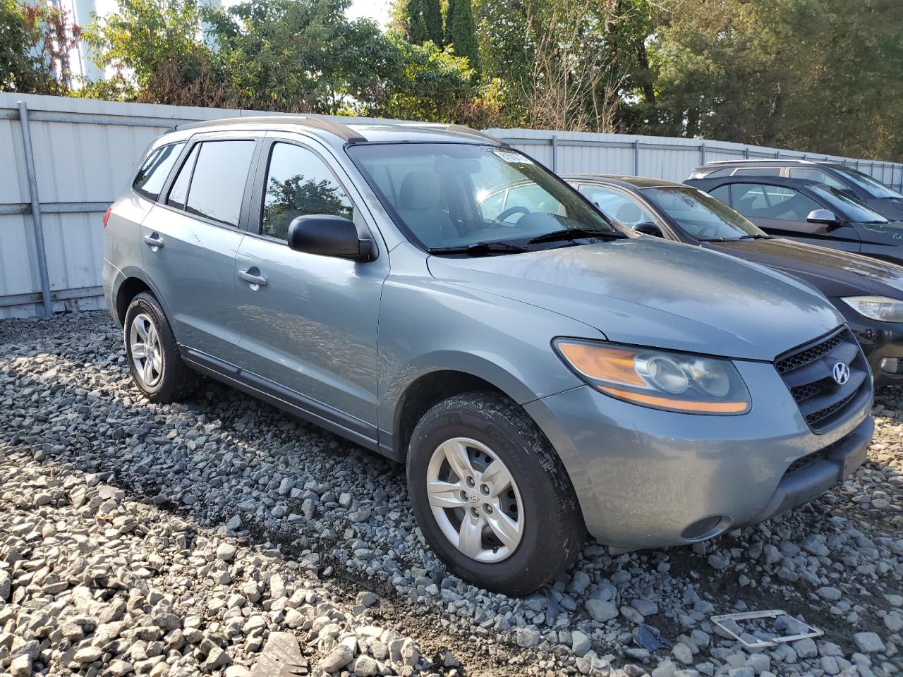 2009 Hyundai Santa Fe Gls VIN: 5NMSG13D19H259635 Lot: 81598775