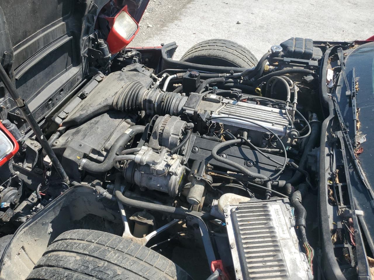 1996 Chevrolet Corvette VIN: 1G1YY22P4T5120353 Lot: 71713705