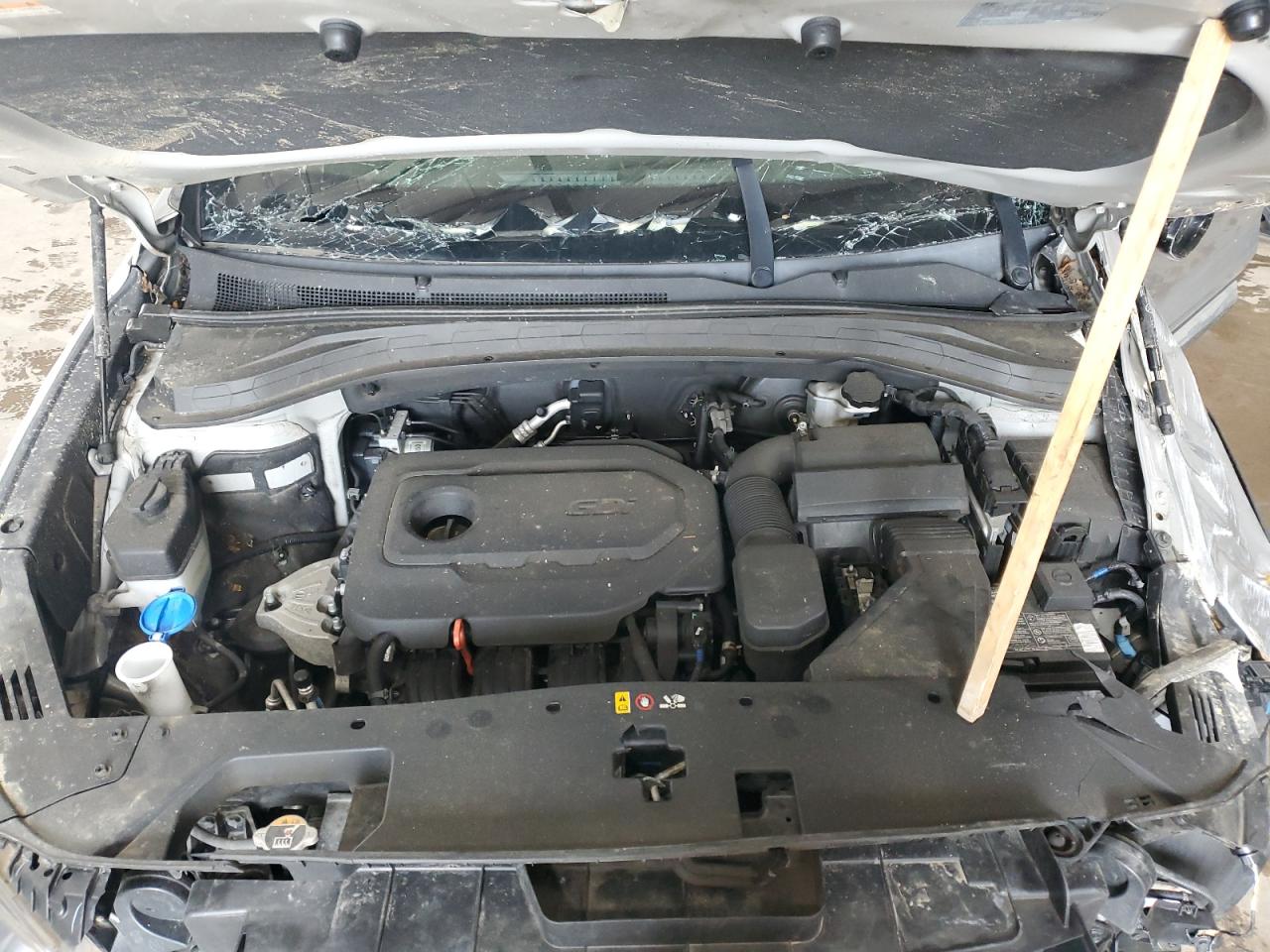 2020 Hyundai Santa Fe Sel VIN: 5NMS3CAD8LH209025 Lot: 84396015