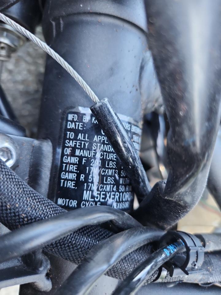 2023 Kawasaki Ex650 R VIN: ML5EXER10PDA84945 Lot: 80136155