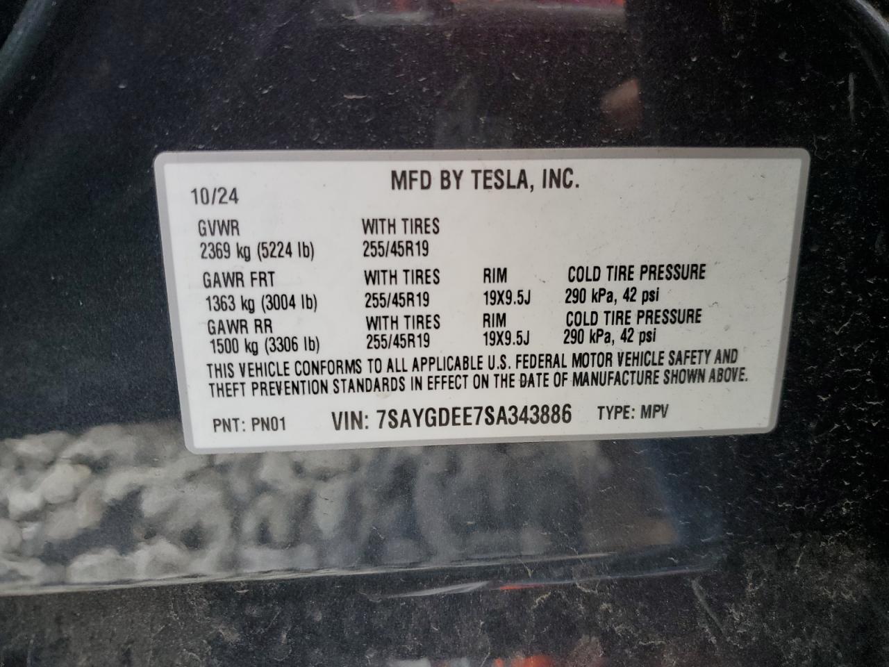 2025 Tesla Model Y VIN: 7SAYGDEE7SA343886 Lot: 71828485