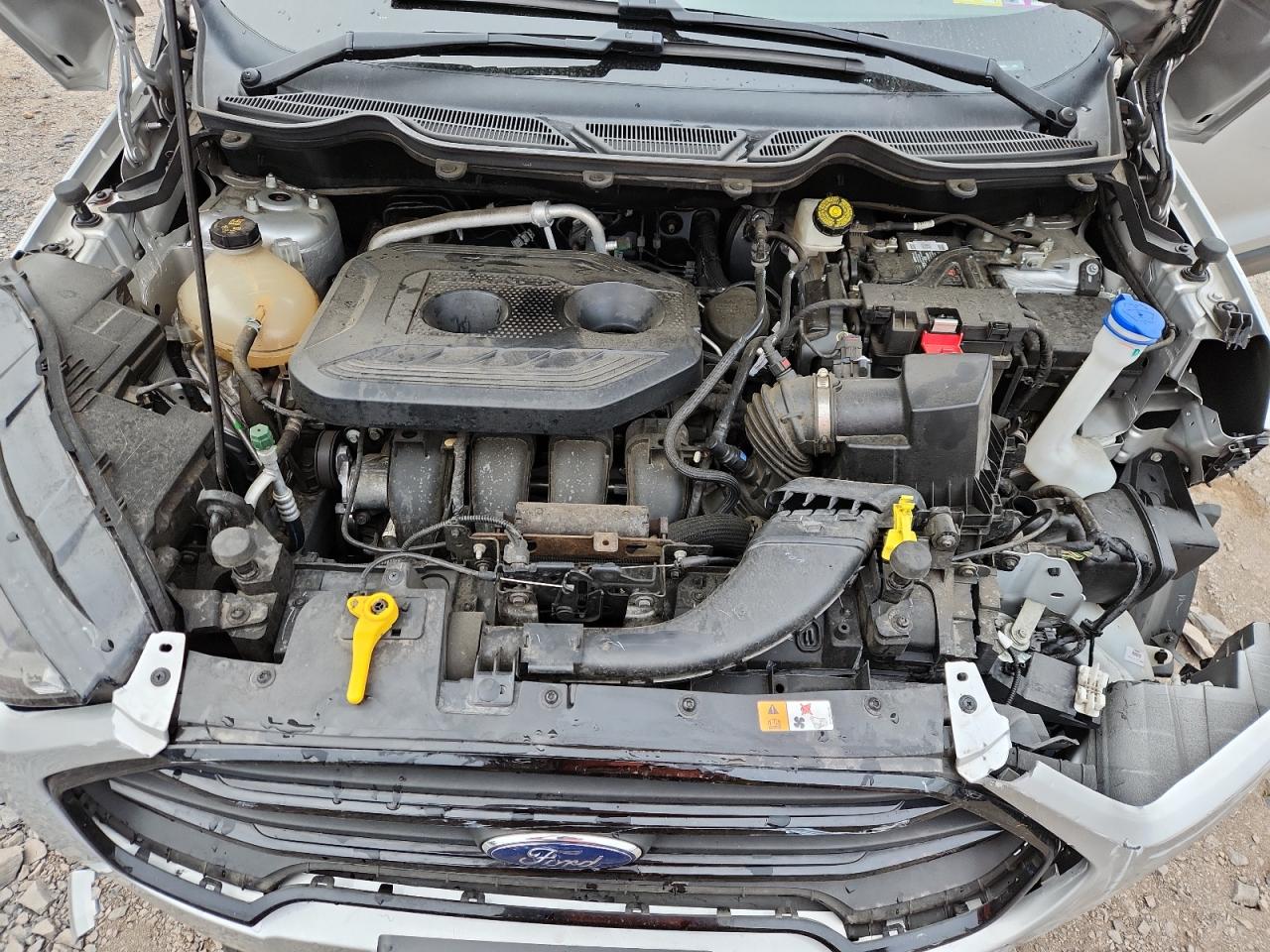 2021 Ford Ecosport Ses VIN: MAJ6S3JL5MC440644 Lot: 80879185