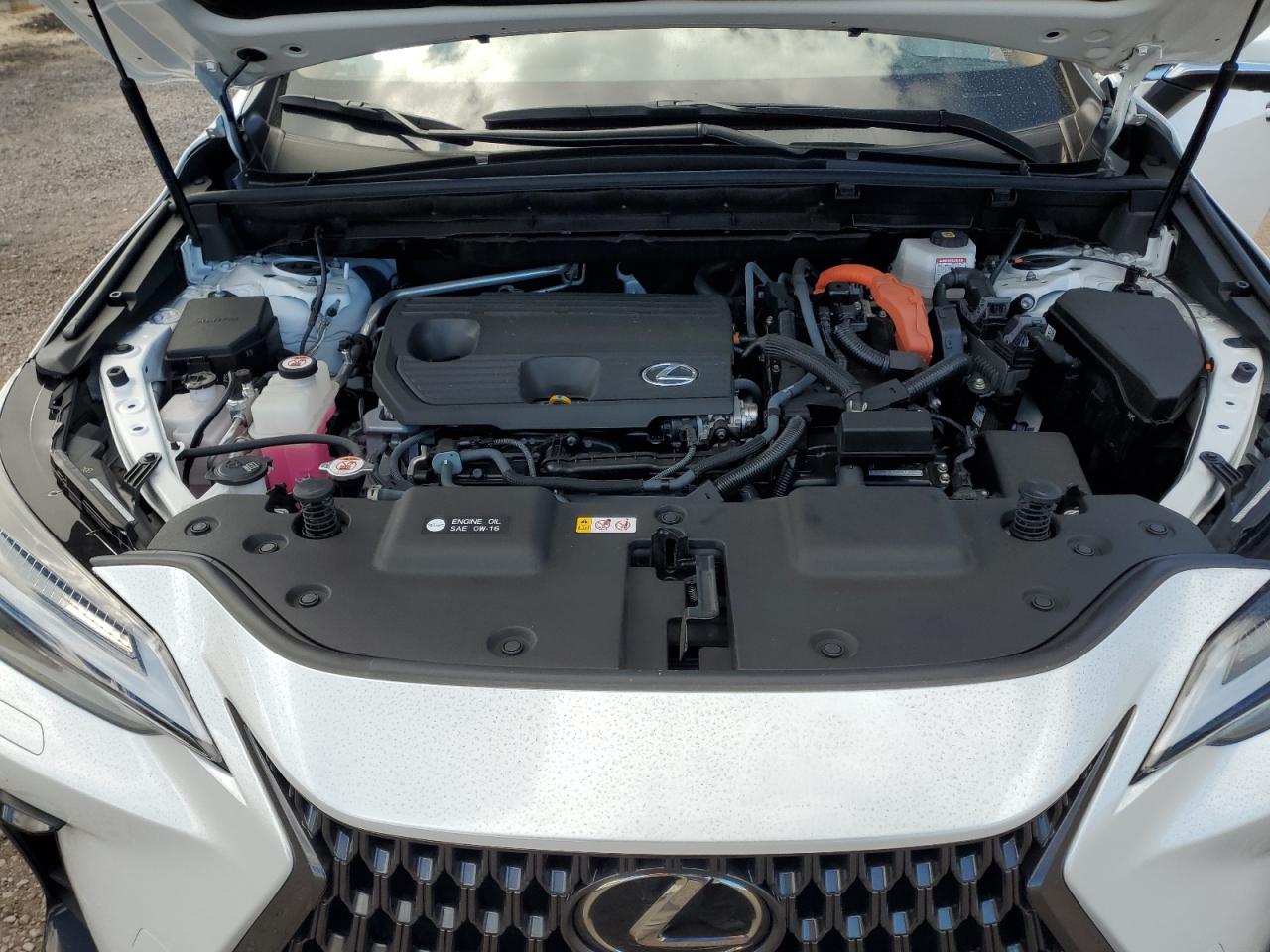 2023 Lexus Nx 350H VIN: JTJHKCEZ0P5007417 Lot: 71870675