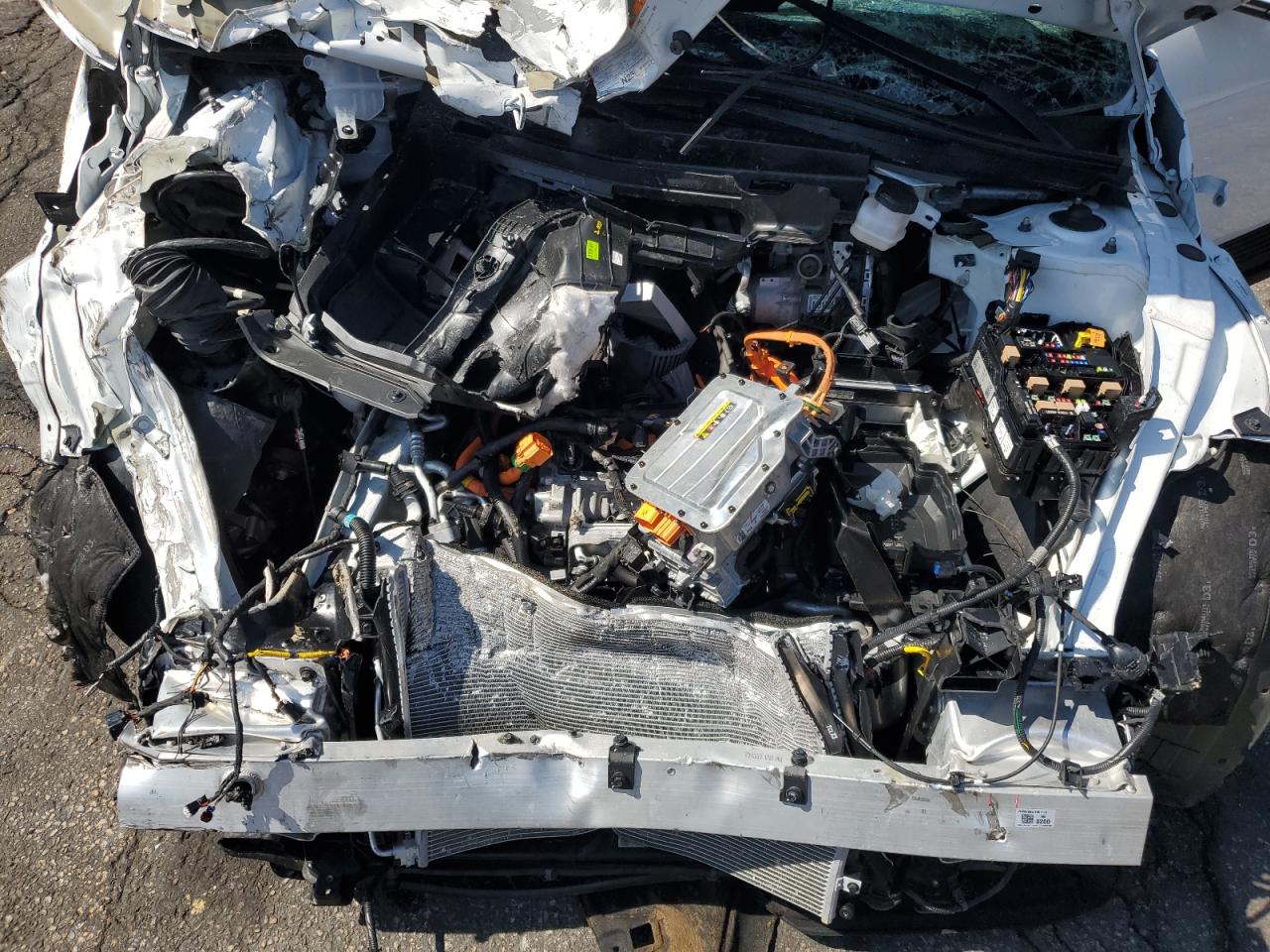 2024 Hyundai Ioniq 5 Sel VIN: KM8KNDDF8RU334228 Lot: 81769835