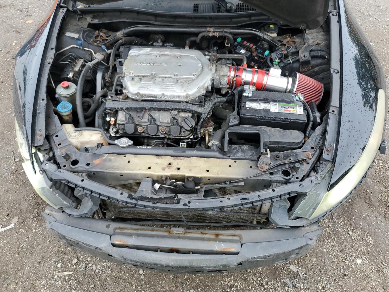 2009 Honda Accord Exl VIN: 1HGCS228X9A001963 Lot: 81099055