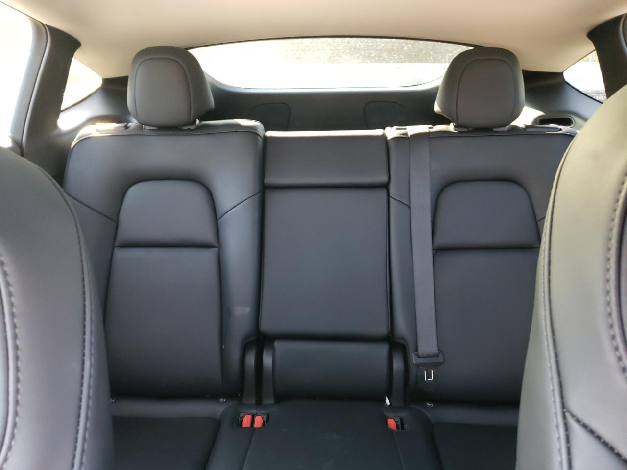 2023 Tesla Model Y VIN: 7SAYGDEE0PF805831 Lot: 80699295