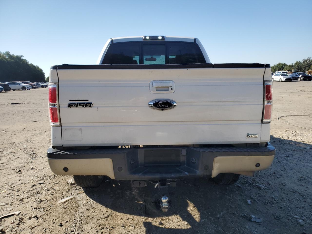 2010 Ford F150 Supercrew VIN: 1FTFW1CV2AKE59171 Lot: 80160295