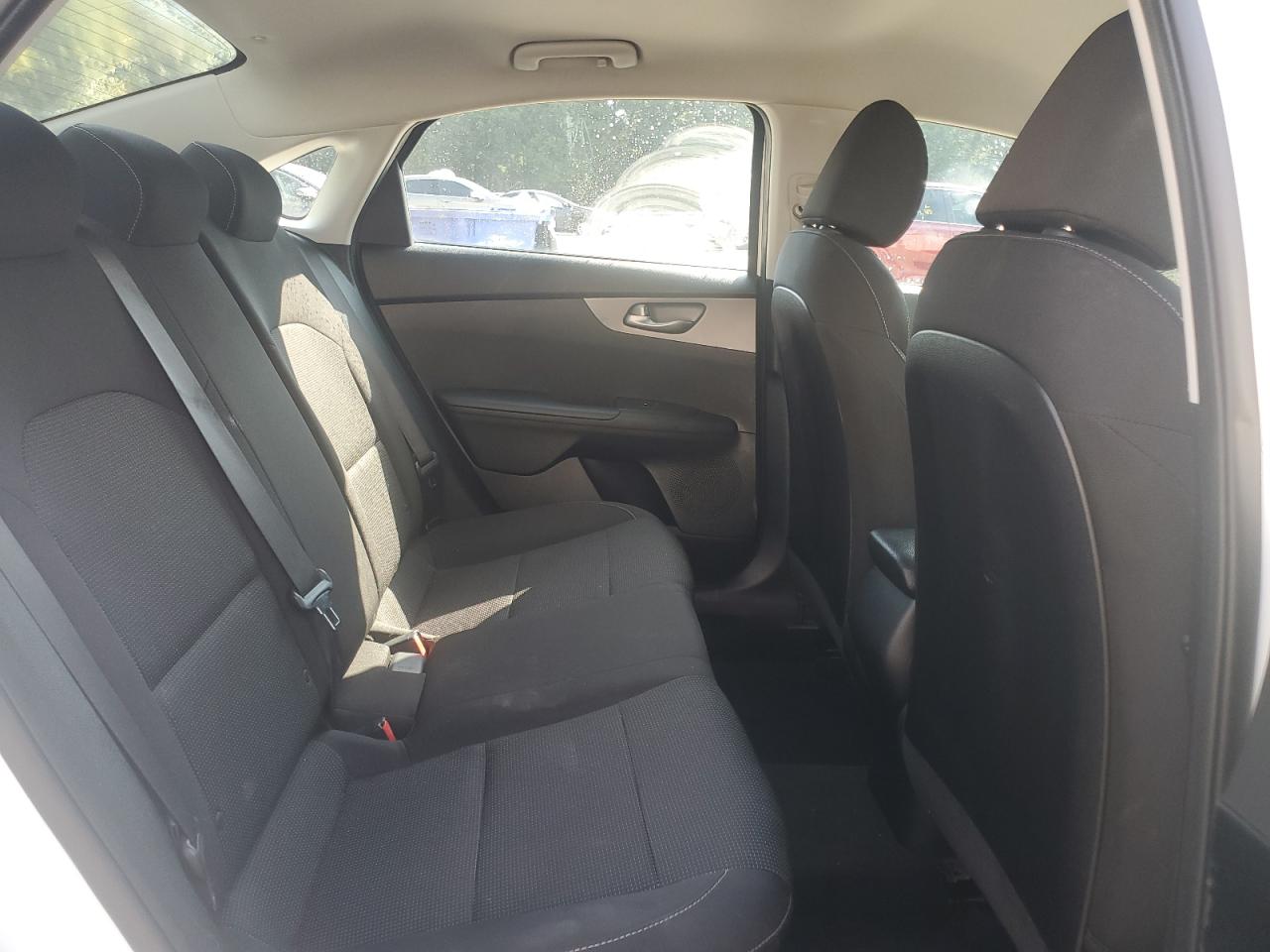 2019 Kia Forte Fe VIN: 3KPF24AD6KE067127 Lot: 80246785