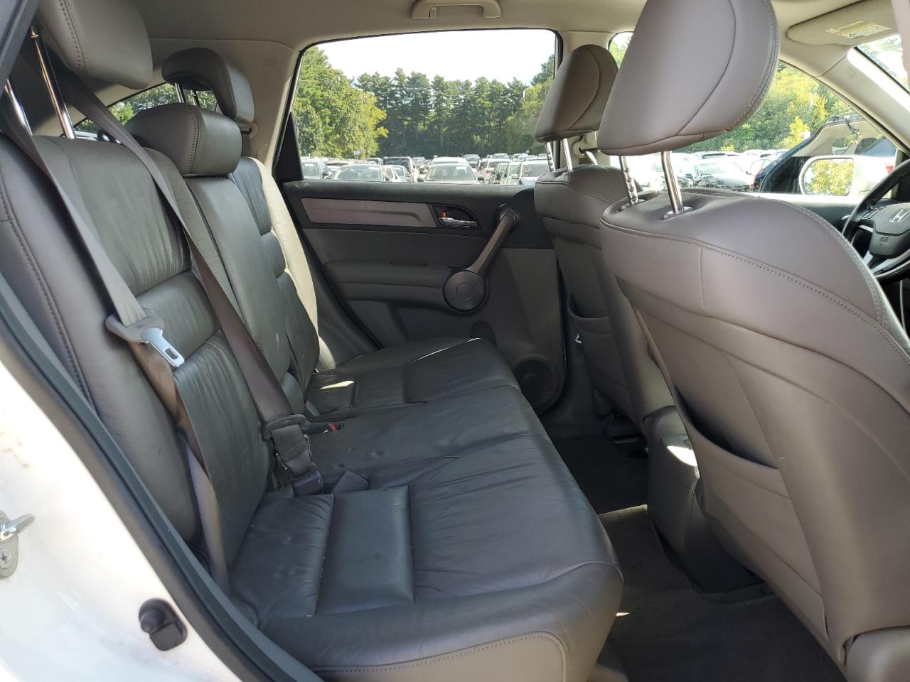 2009 Honda Cr-V Exl VIN: JHLRE48769C013531 Lot: 80529555