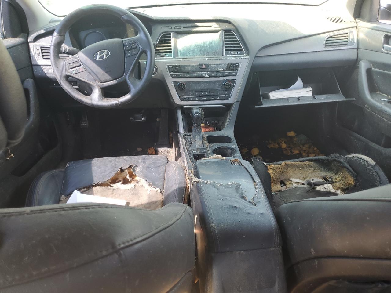 2015 Hyundai Sonata Sport VIN: 5NPE34AF9FH071040 Lot: 81254235