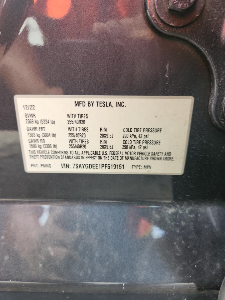 2023 Tesla Model Y VIN: 7SAYGDEE1PF619151 Lot: 81265535