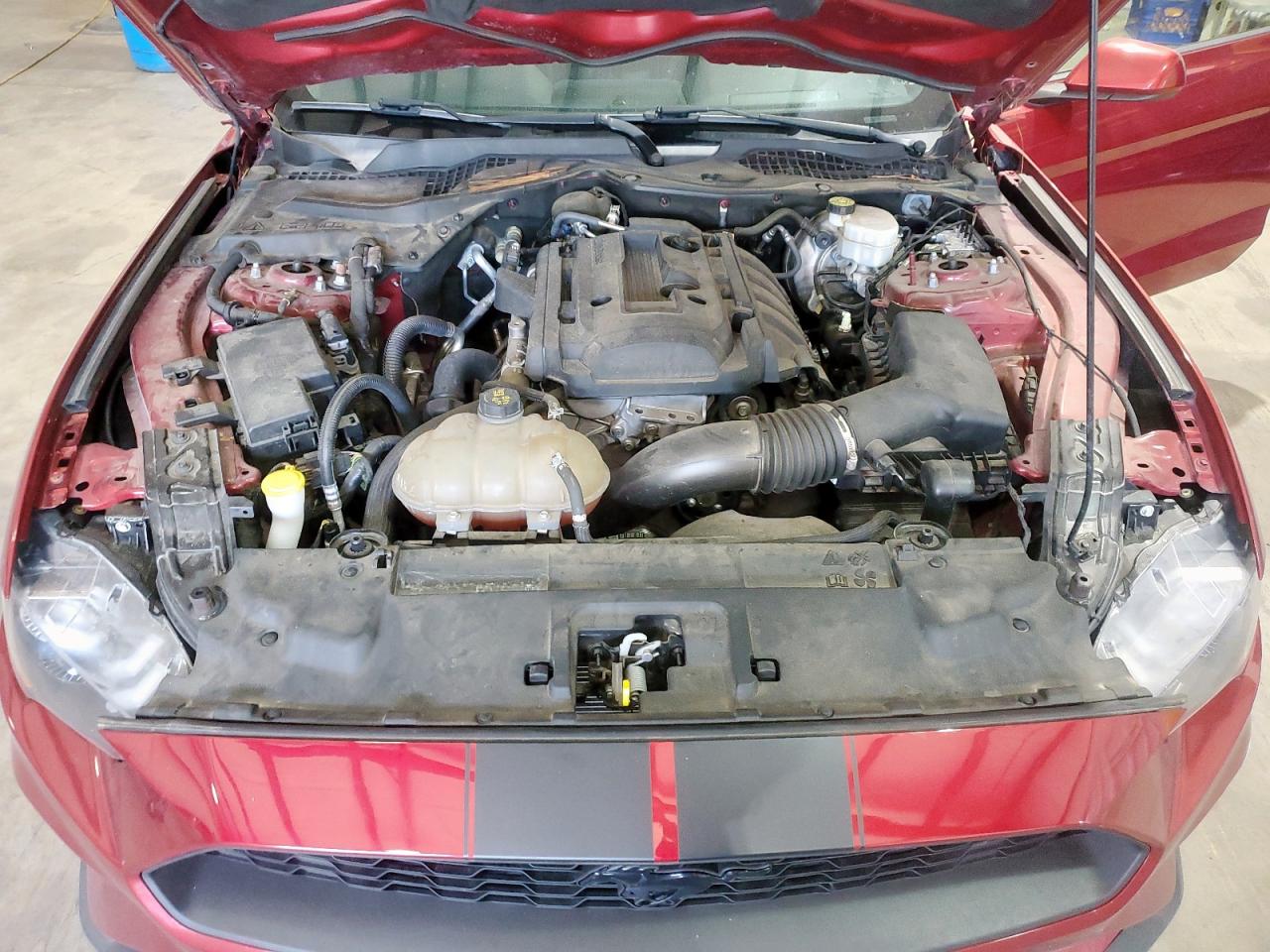 2019 Ford Mustang VIN: 1FA6P8TH7K5129385 Lot: 70923745