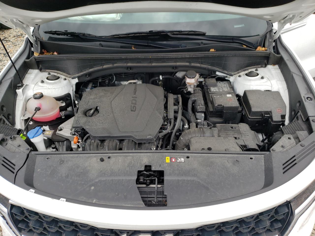 2023 Kia Sorento Lx VIN: 5XYRG4LC8PG190800 Lot: 80510985