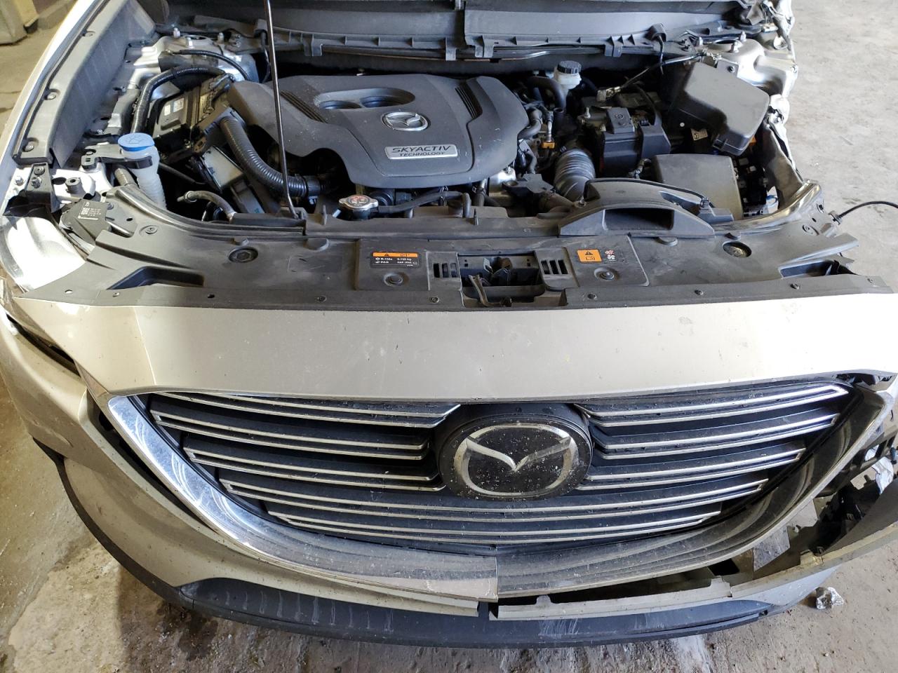2019 Mazda Cx-9 Sport VIN: JM3TCBBY1K0313278 Lot: 81305565