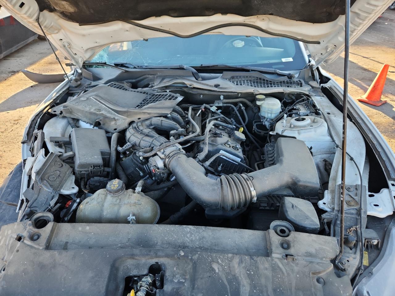 2017 Ford Mustang VIN: 1FA6P8AM0H5291447 Lot: 81689075