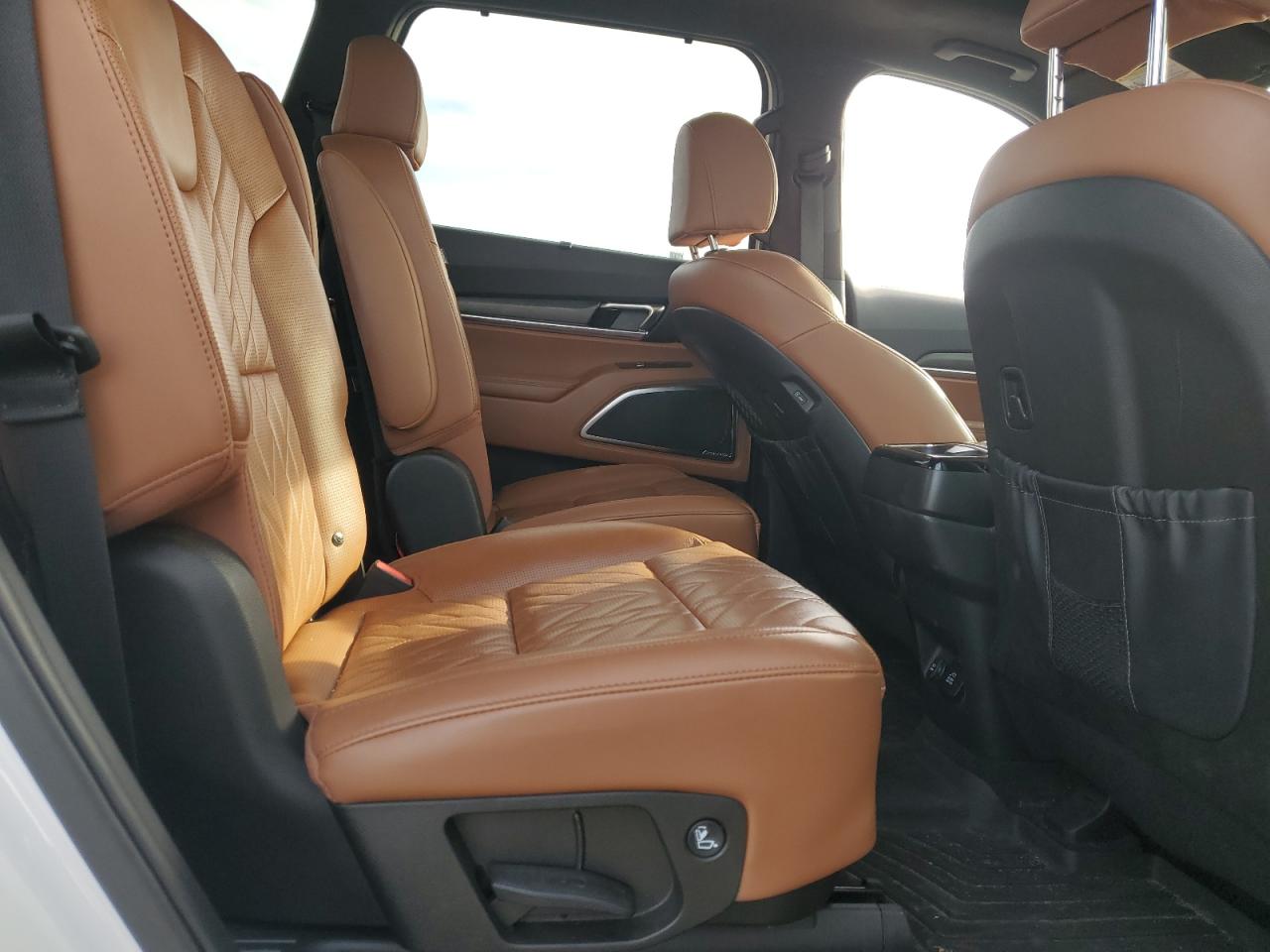 2024 Kia Telluride Sx VIN: 5XYP5DGC7RG414746 Lot: 84295455
