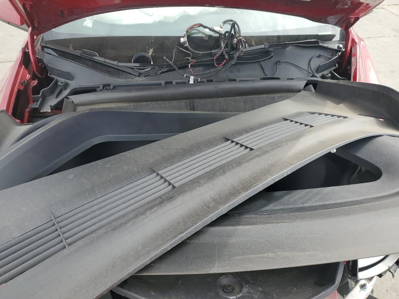 2025 Tesla Model Y VIN: 7SAYGDEFXSF230834 Lot: 81502805