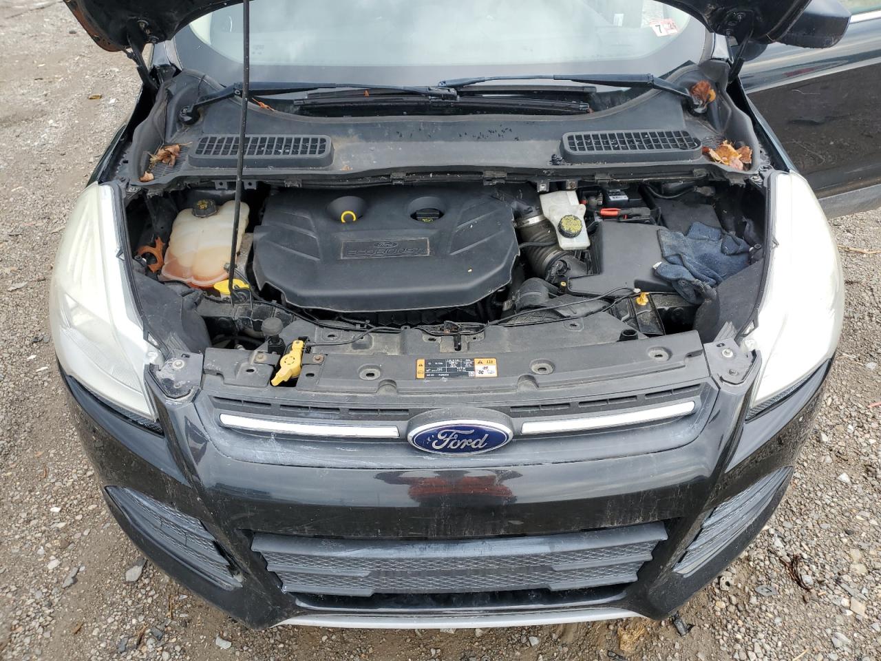 2014 Ford Escape Se VIN: 1FMCU9G92EUE54854 Lot: 83969925