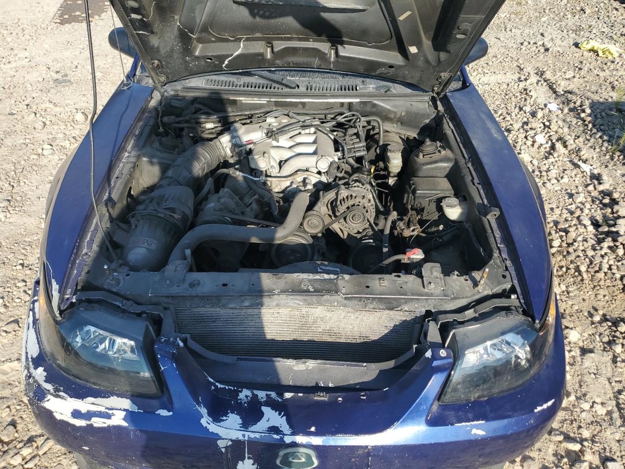 2002 Ford Mustang VIN: 1FAFP40482F167695 Lot: 80388715