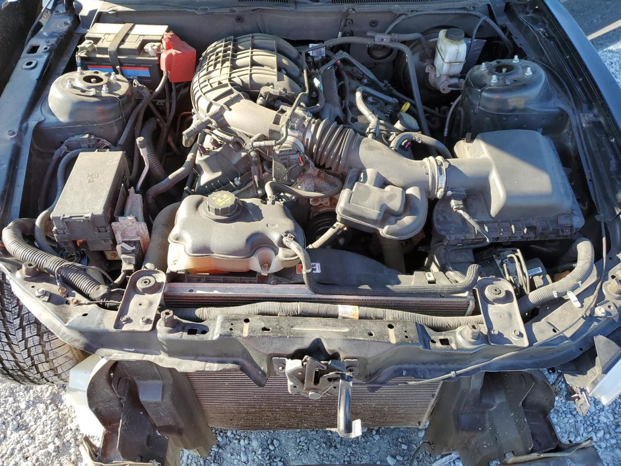 2012 Ford Mustang VIN: 1ZVBP8AM1C5271304 Lot: 81899255