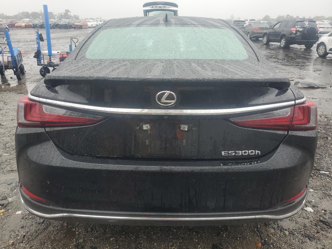 2025 Lexus Es 300H Base VIN: 58ADA1C14SU061473 Lot: 81031205