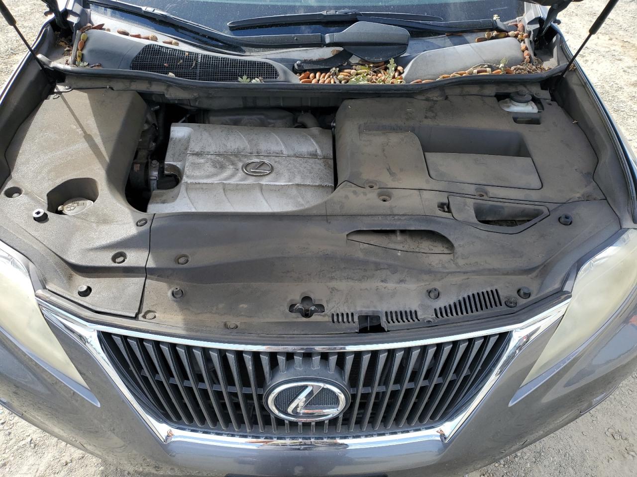 2012 Lexus Rx 350 VIN: JTJZK1BA2C2412925 Lot: 81755285