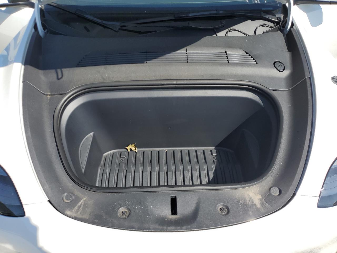 2023 Tesla Model Y VIN: 7SAYGDEE0PA173250 Lot: 80202815