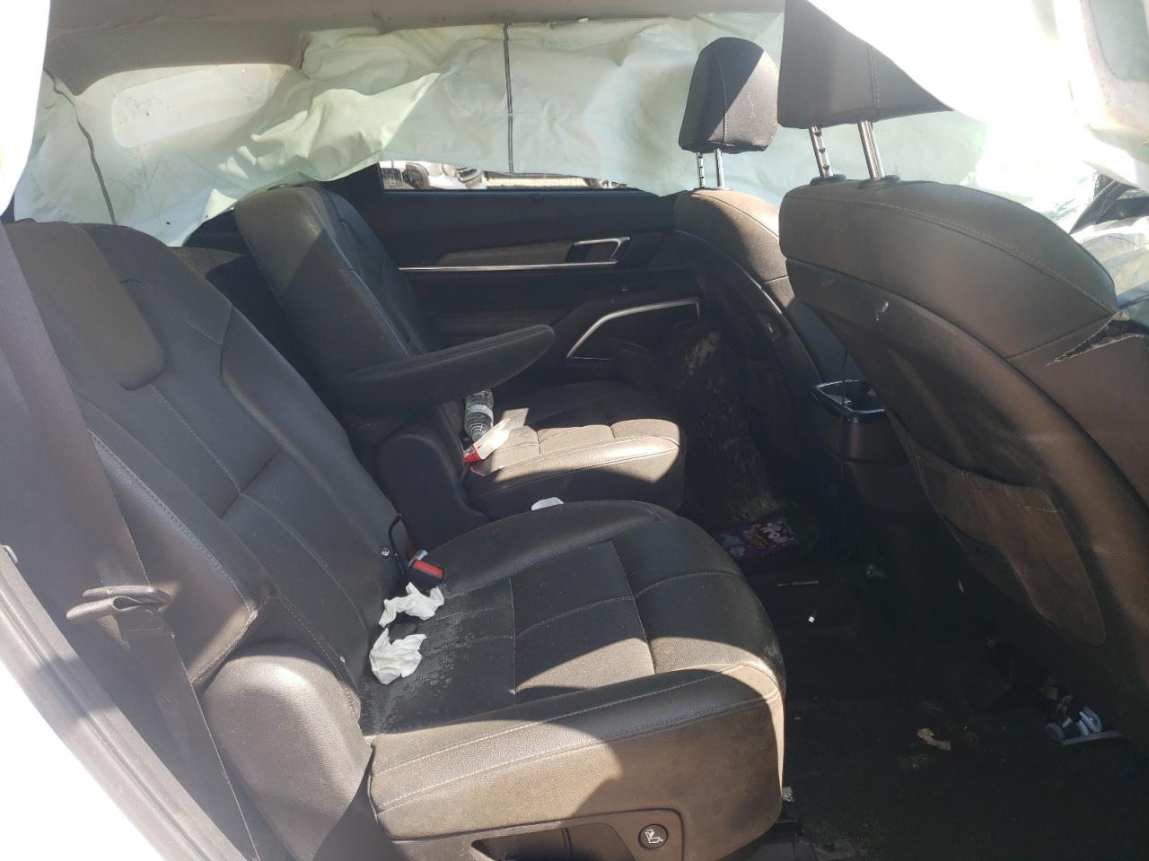 2022 Kia Telluride Sx VIN: 5XYP5DHC0NG197937 Lot: 80295575