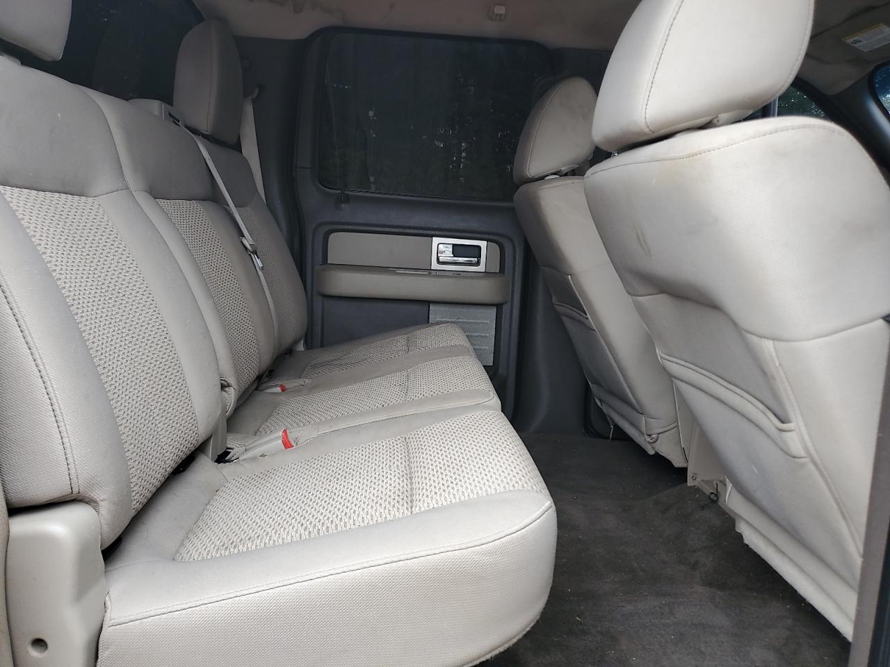 2010 Ford F150 Supercrew VIN: 1FTEW1E89AFC53521 Lot: 80099605