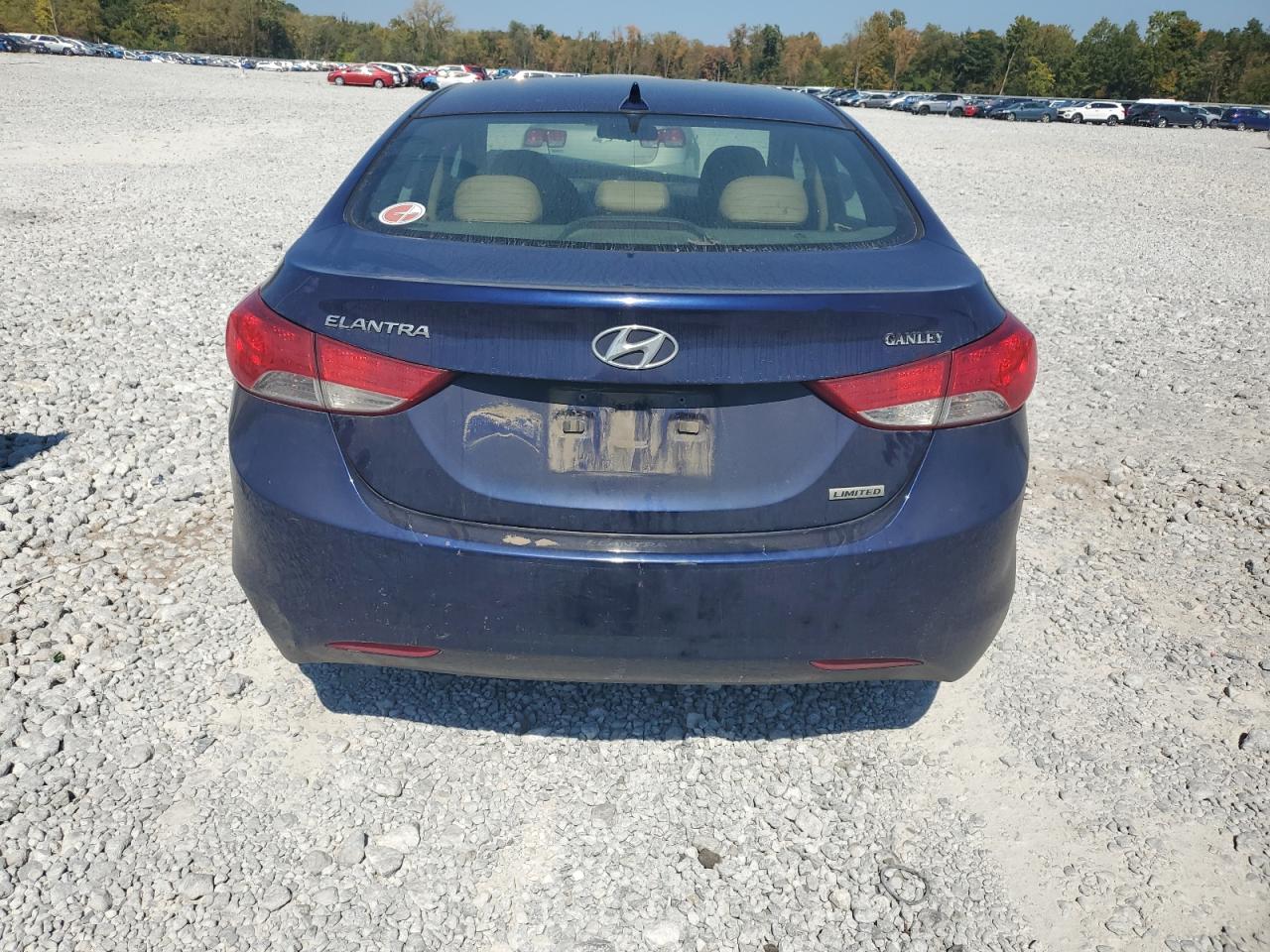 2013 Hyundai Elantra Gls VIN: 5NPDH4AE4DH196092 Lot: 81373315