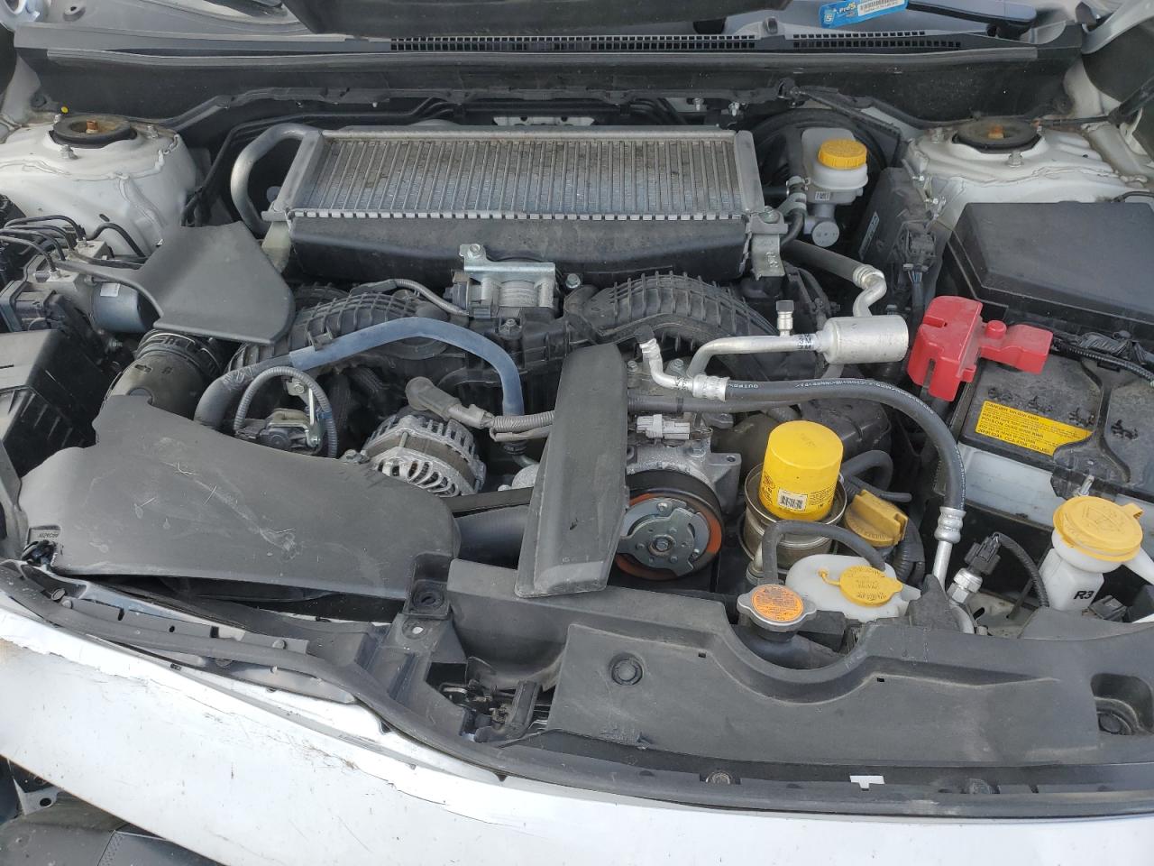 2022 Subaru Wrx Premium VIN: JF1VBAF64N9010783 Lot: 81269135