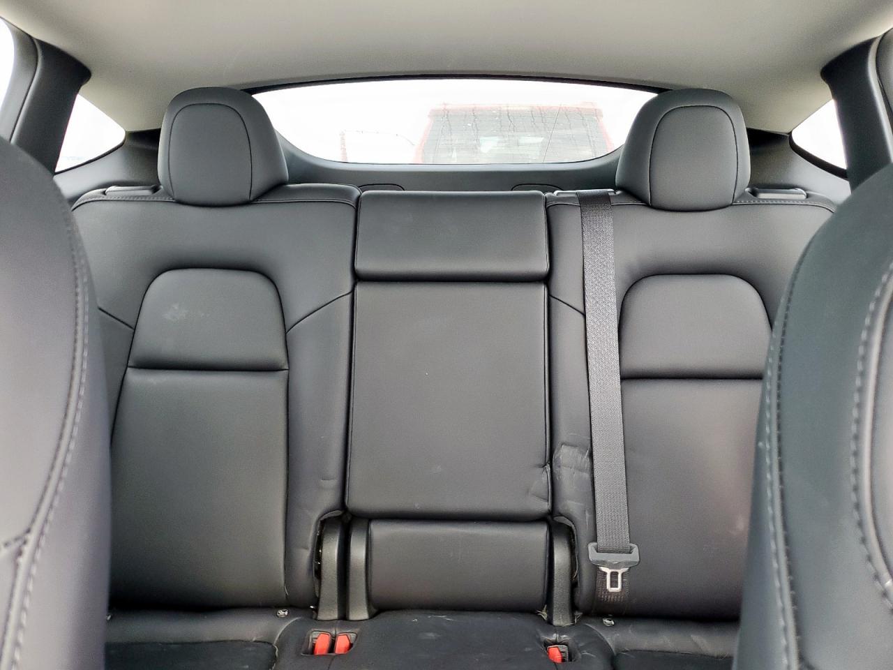 2023 Tesla Model Y VIN: 7SAYGDEF3PF896859 Lot: 81439635