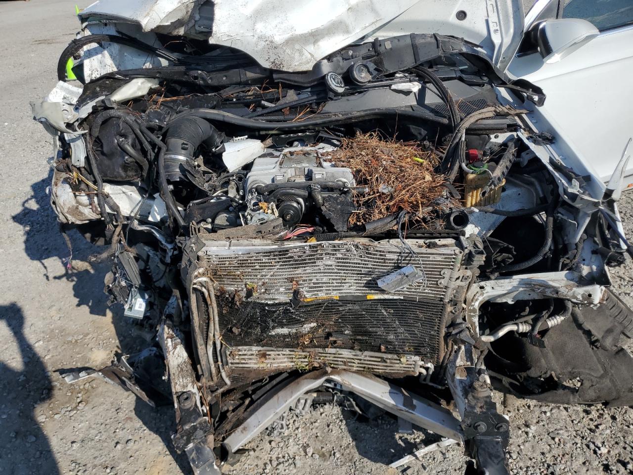 2013 Audi Q7 Premium Plus VIN: WA1LGAFE1DD007825 Lot: 81119025