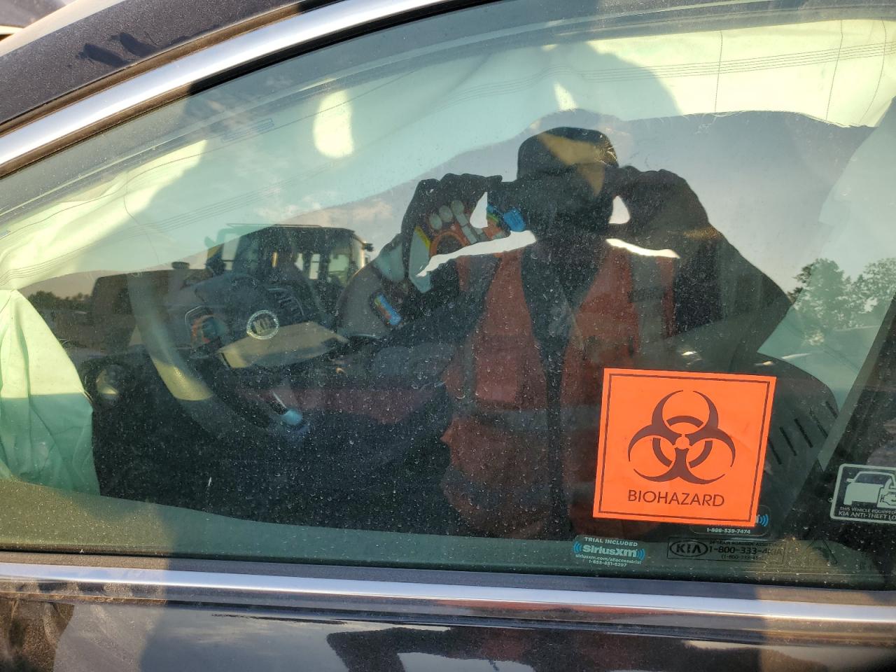 2017 Kia Sportage Lx VIN: KNDPMCAC9H7169451 Lot: 80487615