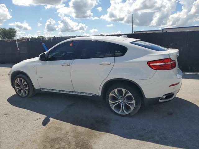 Parquets BMW X6 2013 Biały