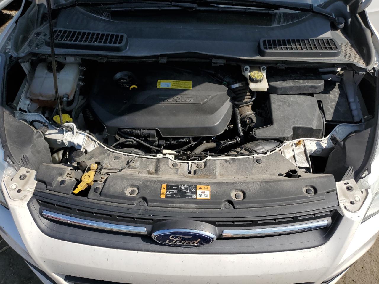 2014 Ford Escape Se VIN: 1FMCU0GX1EUB78726 Lot: 81021325