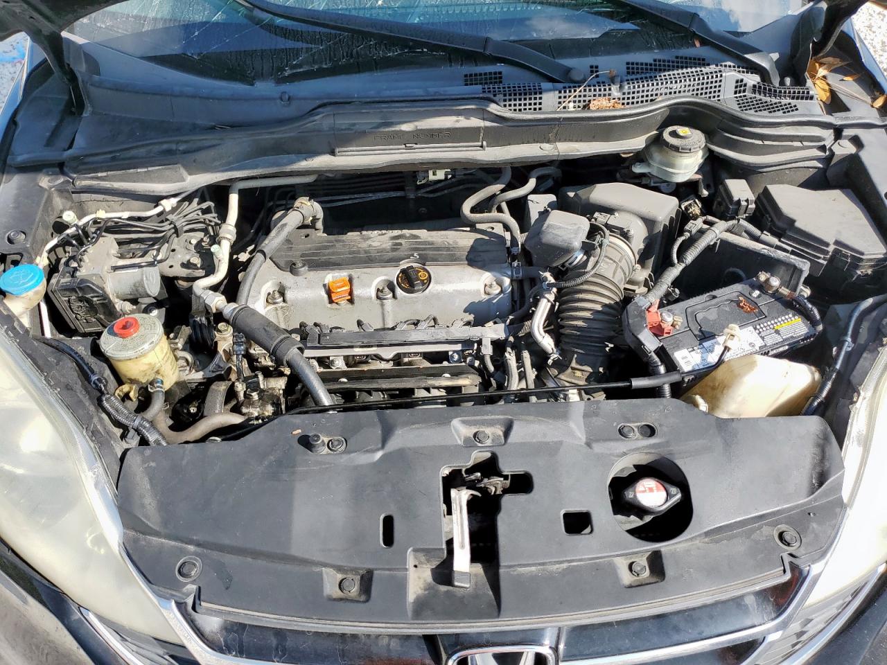 2010 Honda Cr-V Exl VIN: 5J6RE3H79AL003484 Lot: 80483595