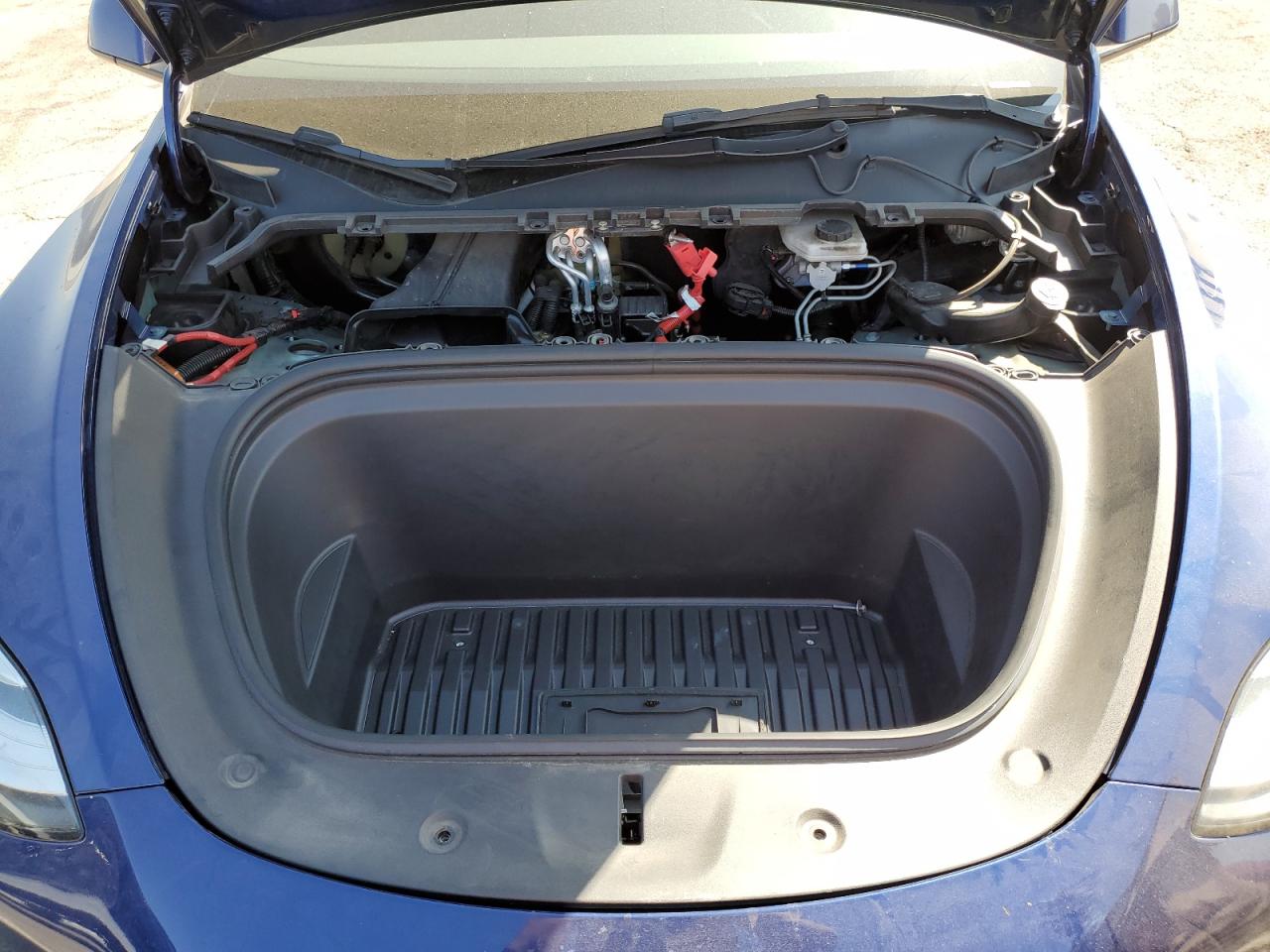 2023 Tesla Model Y VIN: 7SAYGDEEXPA142636 Lot: 71203515