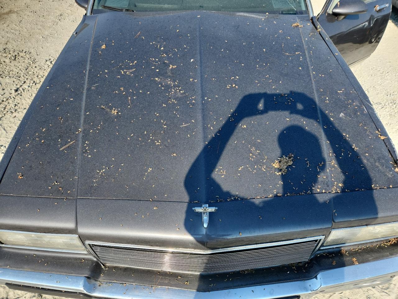 1985 Chevrolet Caprice Classic VIN: 1G1BN69H6FY135833 Lot: 80281155