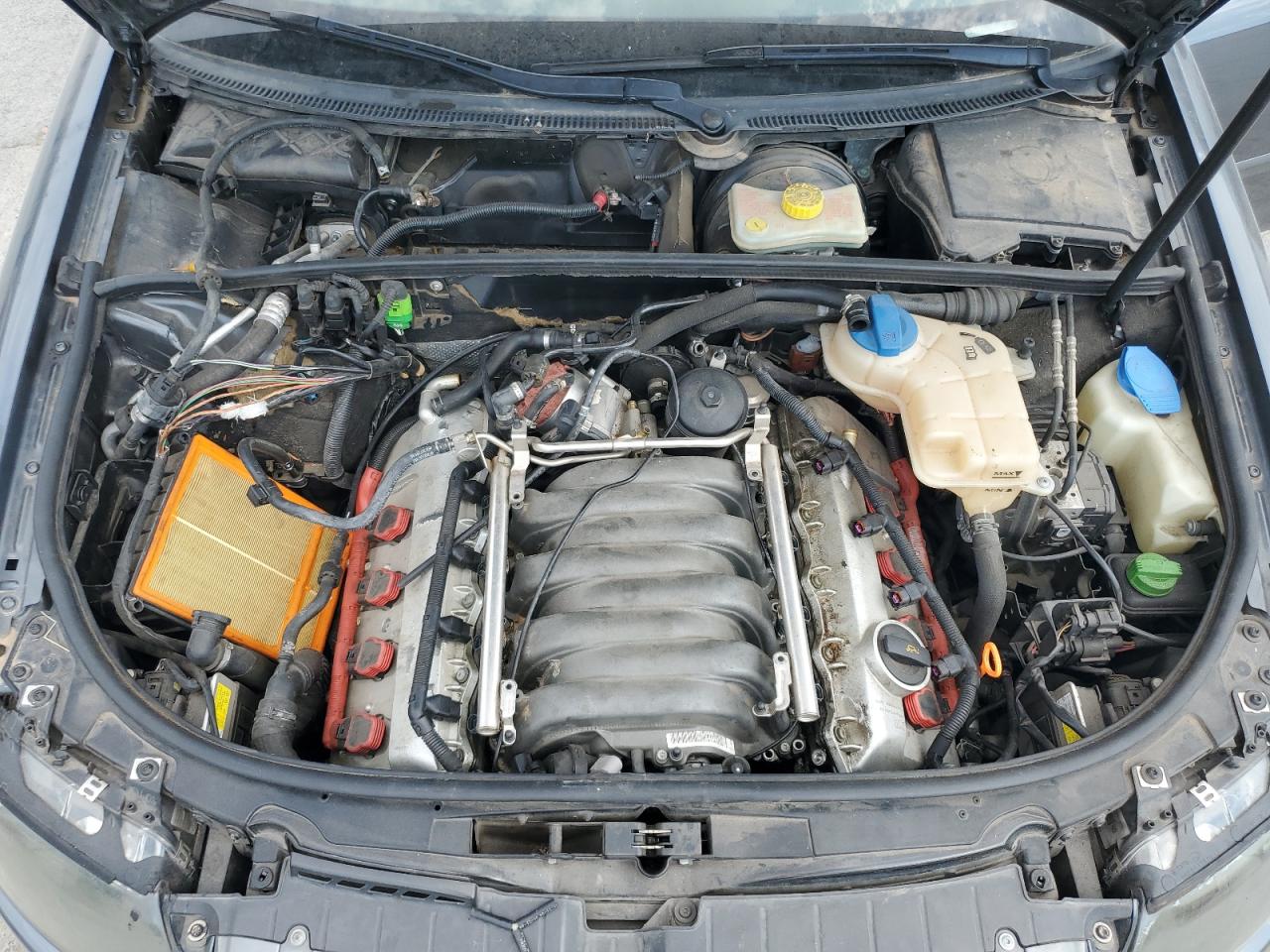 2005 Audi S4 Quattro Cabriolet VIN: WUARL48H95K901026 Lot: 81266765