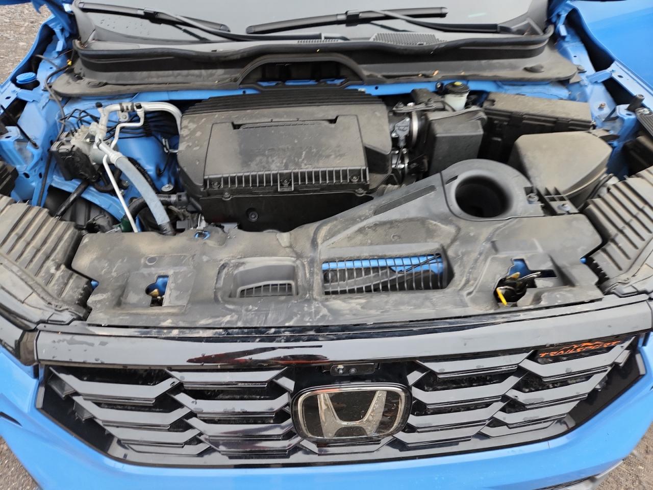 2024 Honda Pilot Trailsport VIN: 5FNYG1H69RB023496 Lot: 82095495