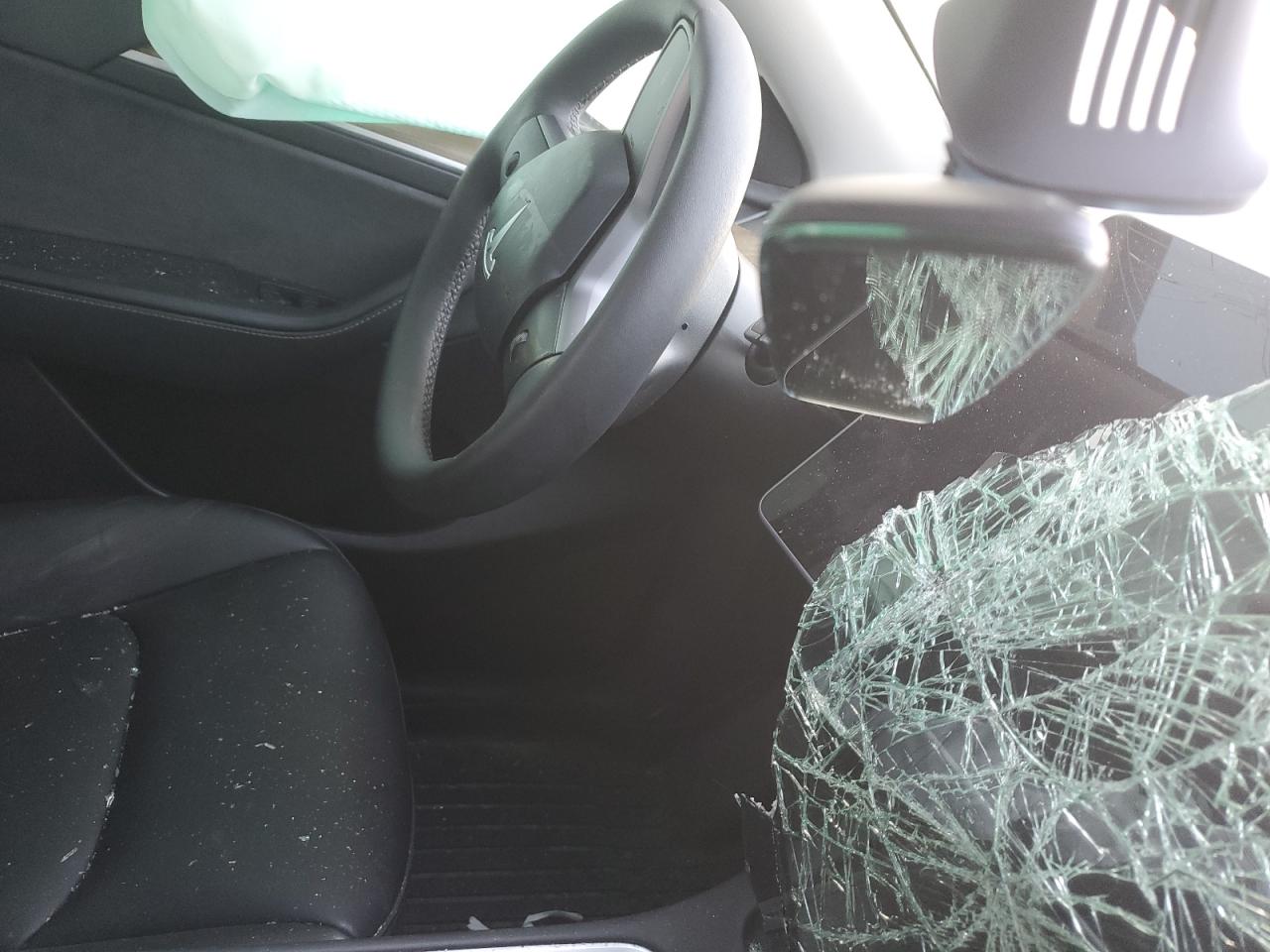 2024 Tesla Model Y VIN: LRWYGDEE8RC670723 Lot: 81564565