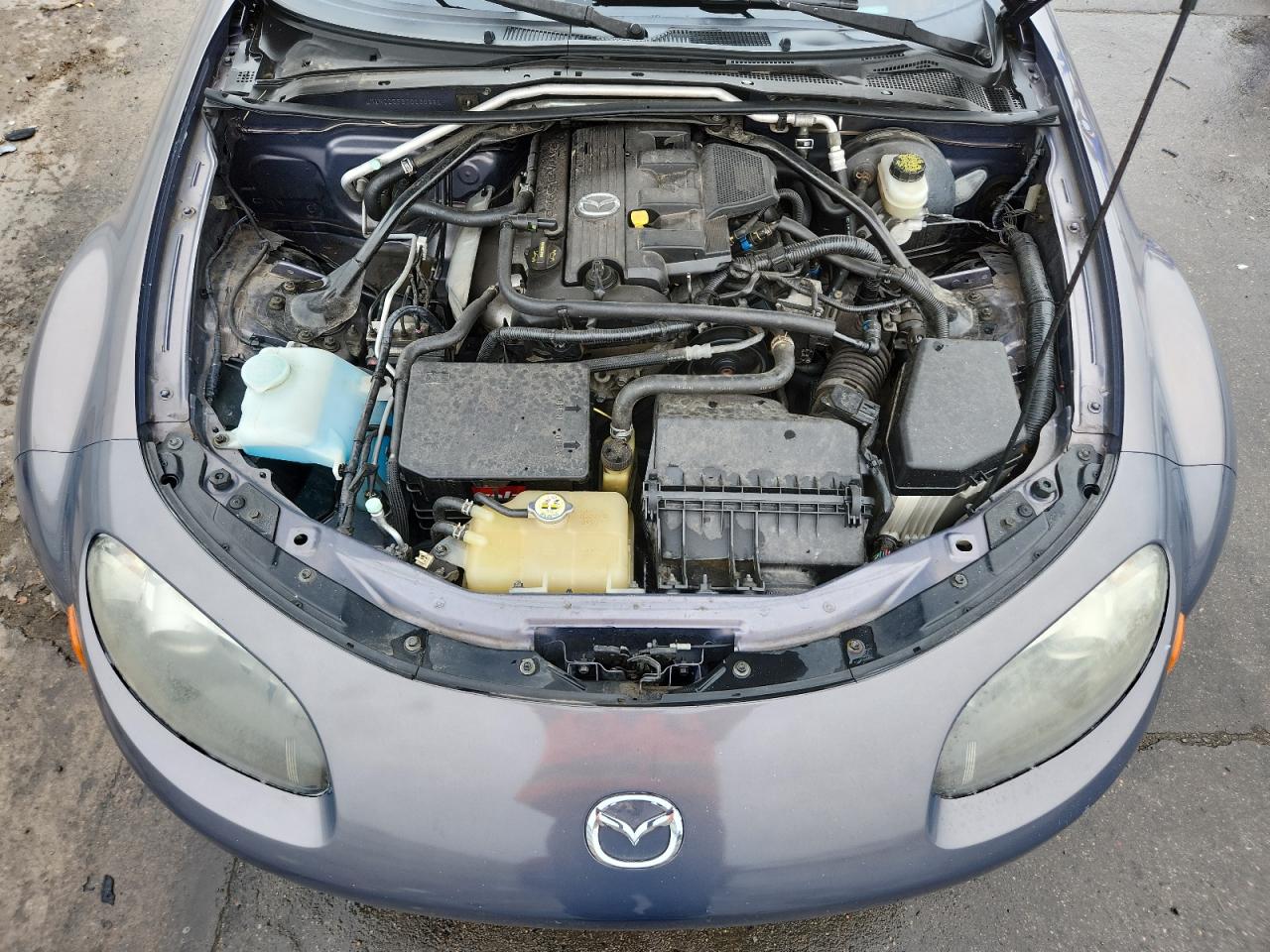 2007 Mazda Mx-5 Miata VIN: JM1NC25F370135991 Lot: 71210095