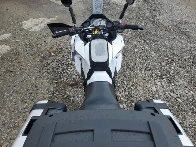2020 KAWASAKI KLE300 B  
