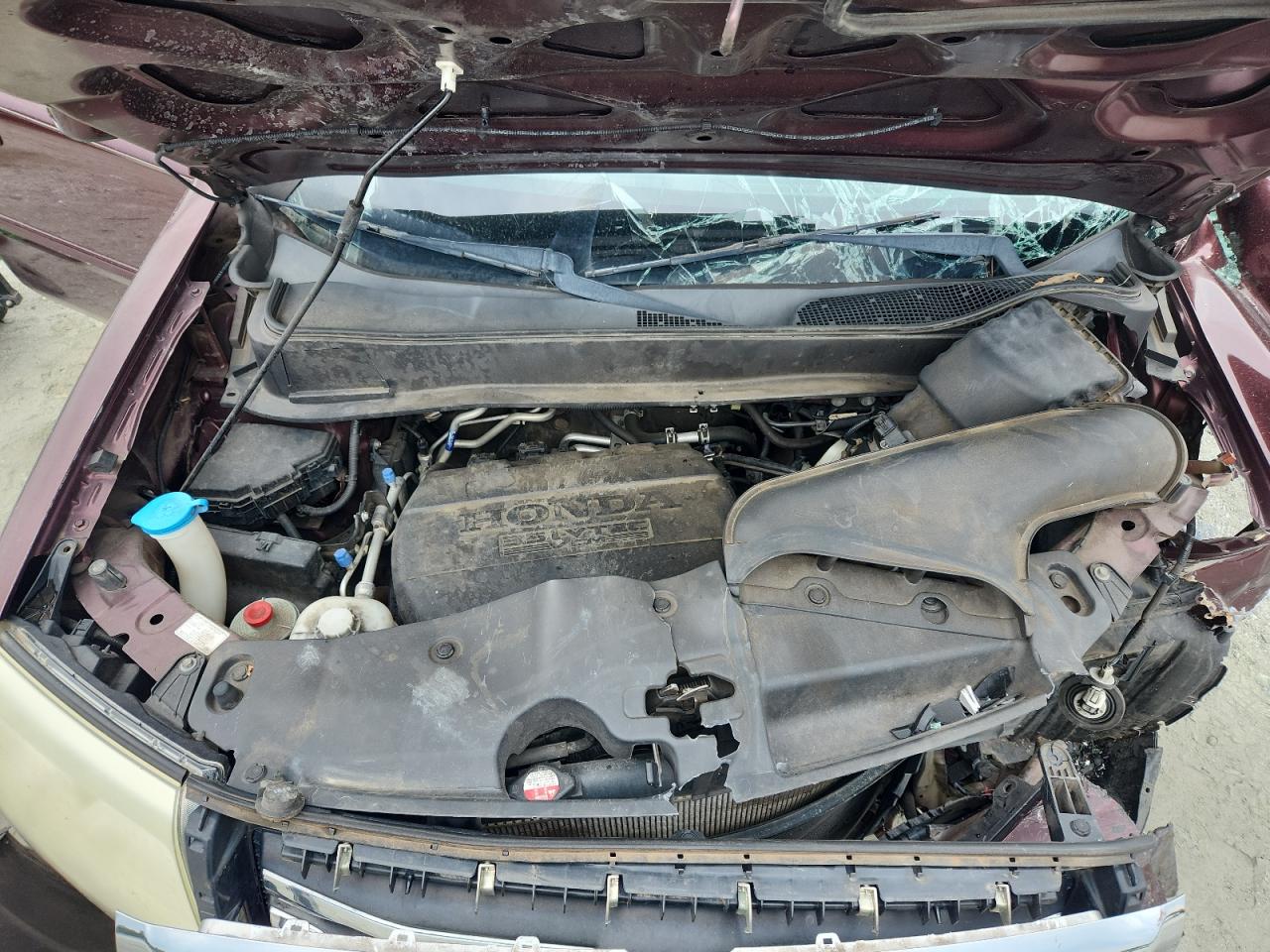 2013 Honda Pilot Exl VIN: 5FNYF4H51DB032293 Lot: 80833435